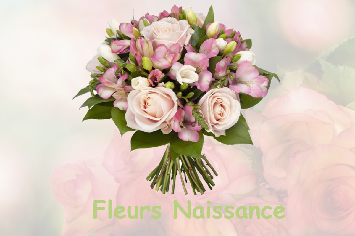 fleurs naissance PARAY-LE-FRESIL